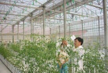 Chia sẻ nguồn gen: Thiếu kinh nghiệm thực tiễn